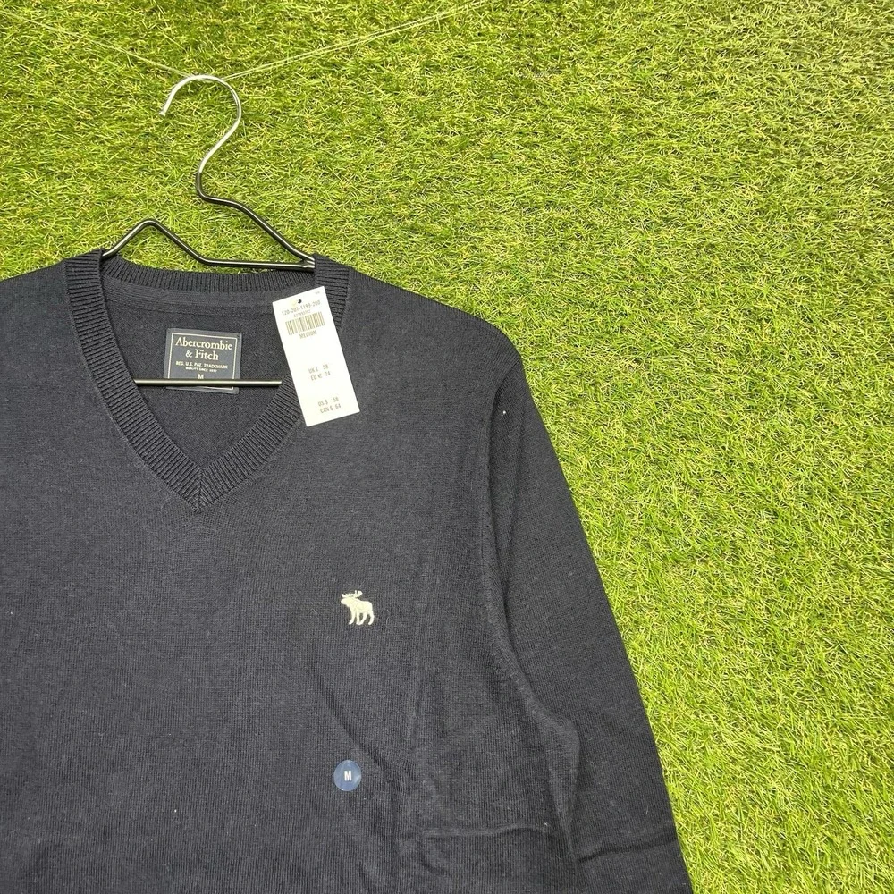Abercrombie & Fitch Mens Merino Wool Sweater Mens Medium Blue Dress Preppy NWT